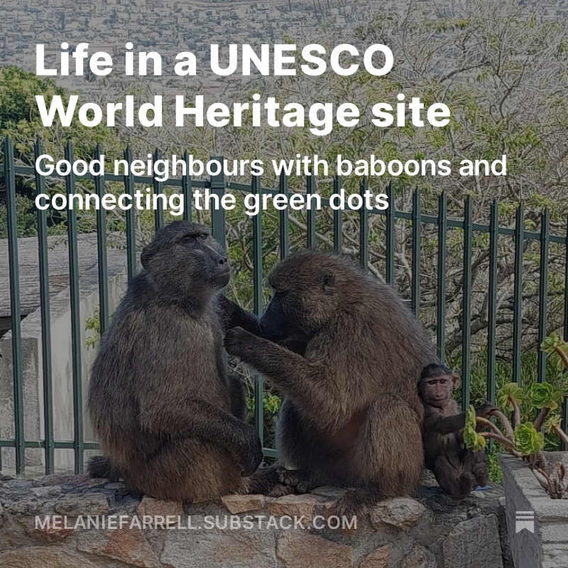 Life in a UNESCO World Heritage site